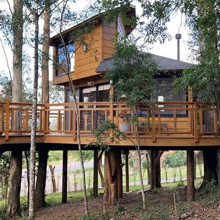 Casa Na Arvore Morada Dos Vagalumes Farroupilha Buitenkant foto
