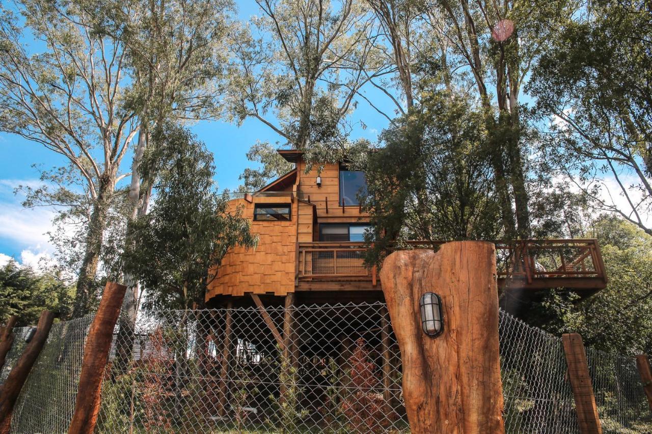 Casa Na Arvore Morada Dos Vagalumes Farroupilha Buitenkant foto