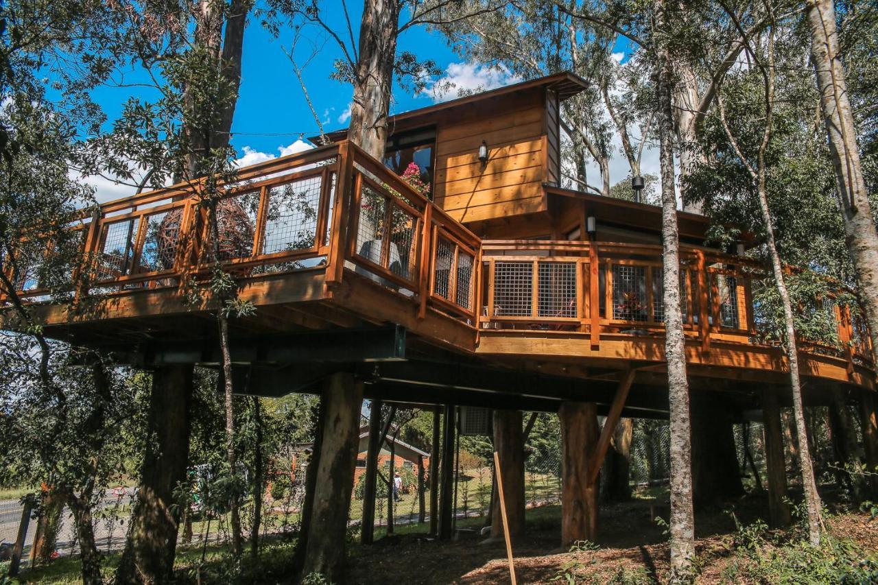 Casa Na Arvore Morada Dos Vagalumes Farroupilha Buitenkant foto