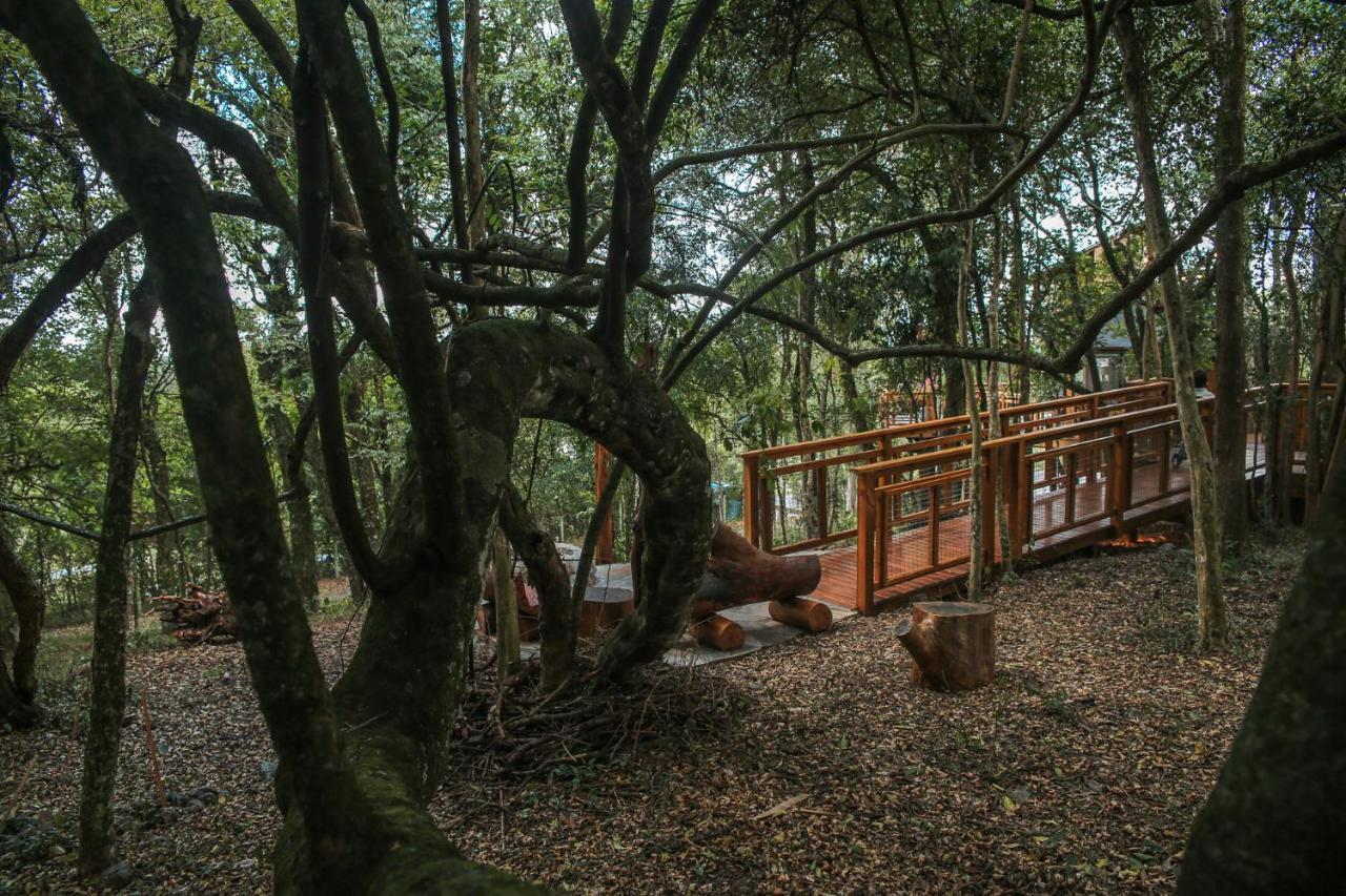 Casa Na Arvore Morada Dos Vagalumes Farroupilha Buitenkant foto